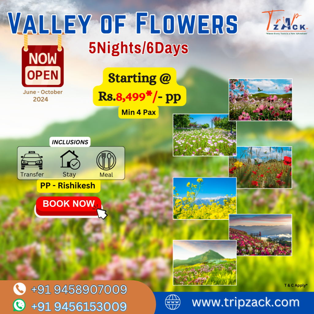 valley of flower